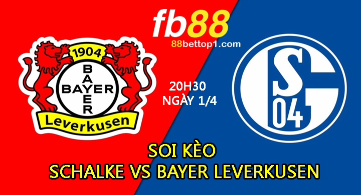 Schalke-vs-Bayer-Leverkusen